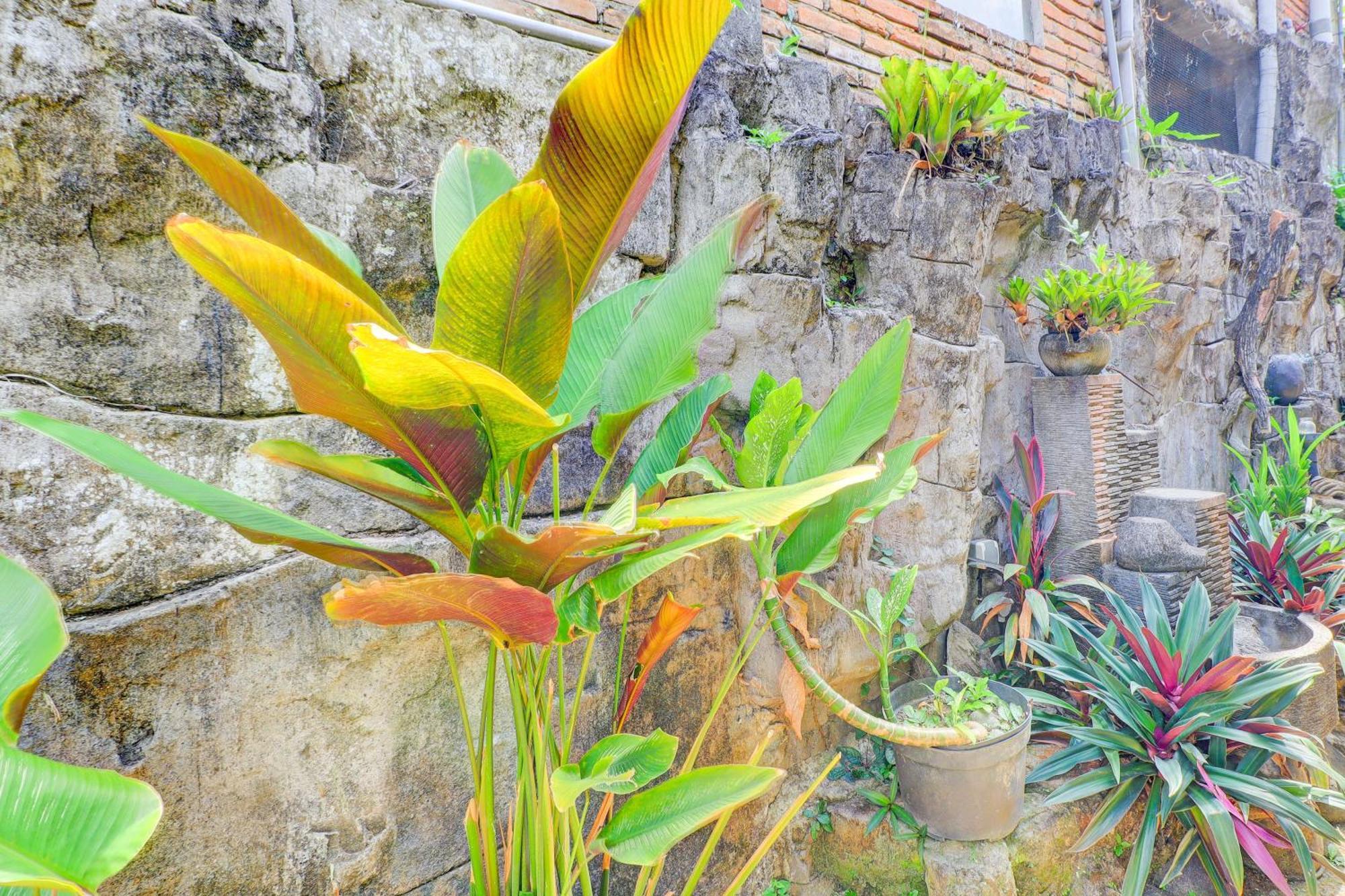 Hotel O Ubud Asri Homestay Near Monkey Forest ภายนอก รูปภาพ